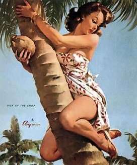 pinup5